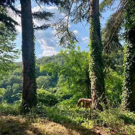 Raeuberlager 15 Dammbach