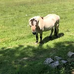 בקתה Raeuberlager 15 Dammbach