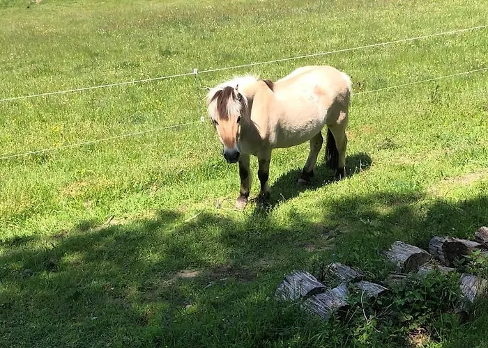 Chalet Räuberlager 15 Dammbach