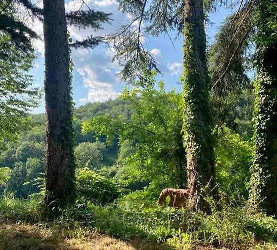 Raeuberlager 15 Dammbach